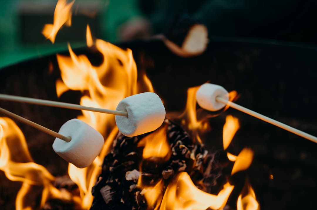 Lägereld med mashmallows som grillas i elden